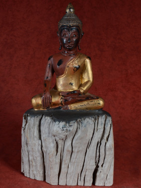Houten Boeddhabeeld in Bhumisparsha mudra op boomstronk