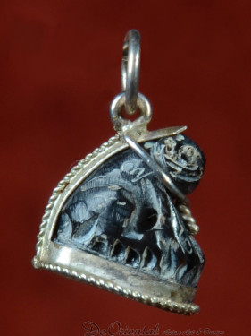 Authentieke Thaise Tijgertand Amulet in zilveren houder