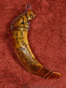 Authentieke Thaise Tijgertand Amulet hanger met Palad Khik