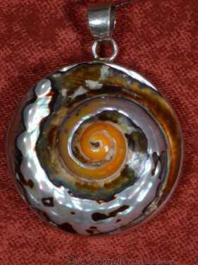 Zilveren hanger met een tulband schelp