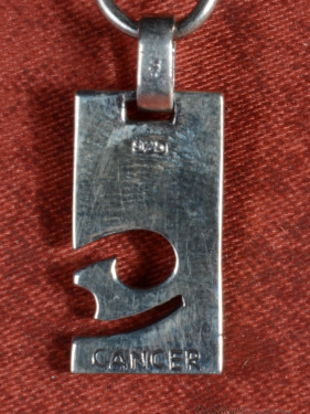 Zilveren hanger met dierenriemteken van Kreeft