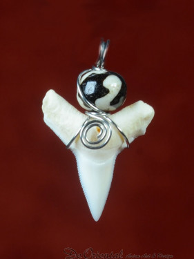 Tand van stierhaai, met dzi steentje in zilver