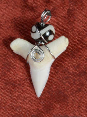 Hanger Haaientand met Dzi Kraal en Zilverdraad