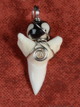 Hanger Haaientand met Dzi Kraal en Zilverdraad