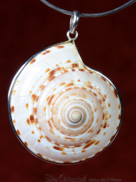 Hanger Vishnu Chakra schelp met zilveren rand