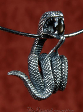 Zilveren hanger met slang