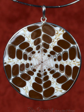 Handgemaakt sieraad van schelp