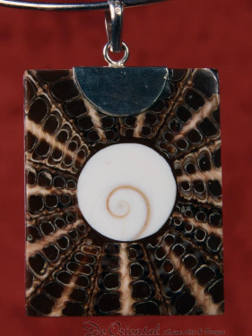 Handgemaakt sieraad van schelp