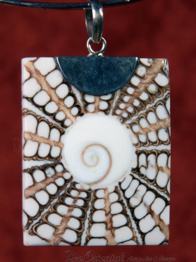 Handgemaakt sieraad van schelp