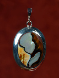 Zilveren hanger met een tulband schelp