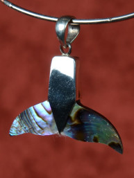Hanger walvisstaart abalone met 925 zilver