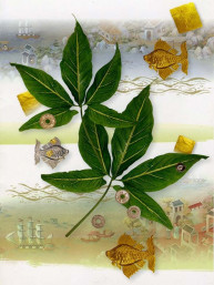 Thaise dubbele wenskaart met envelop nieuwjaar