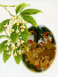 Thaise dubbele wenskaart met envelop kerst & nieuwjaar