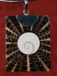 Handgemaakt sieraad van schelp