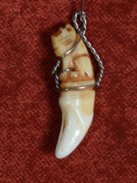 Authentieke Thaise Tijgertand Amulet hanger