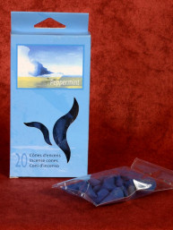 Wierook kegels Pepermunt in doosje