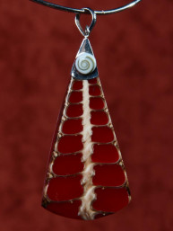 Handgemaakt sieraad van schelp