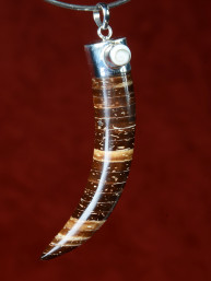 Hanger fantasie tand, kokoshout en zilver