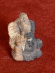 Ganesha miniatuur handgesneden versteend hout Thailand