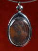 Ajahn Fan Acharo amulet Wat Tham Kham 2517