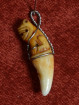 Authentieke Thaise Tijgertand Amulet hanger