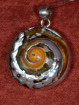 Zilveren hanger met een tulband schelp