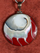 Zilveren hanger met Nautilus schelp en rode hars inleg