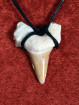 Fossiele Haaientand– Reuzenmako 28x38 mm