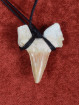 Fossiele Haaientand– Reuzenmako 28x38 mm