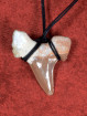 Fossiele Haaientand – Reuzenmako 37X40 mm