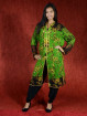 Salwar kameez, Indiase jurk of Punjabi dress groen