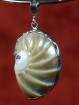 Zilveren hanger met een Nautilus schelp