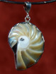 Zilveren hanger met een Nautilus schelp